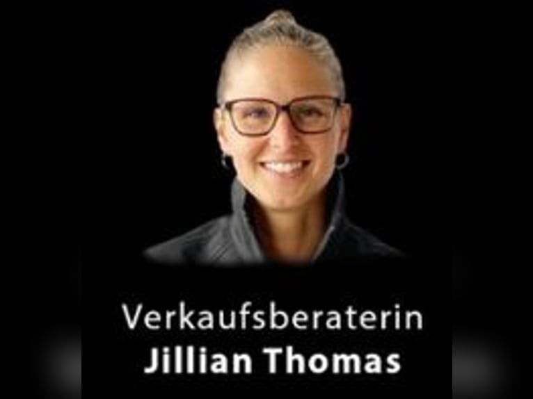 junge Frau sucht Reitbeteiliung