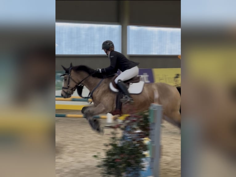 Junge Reiterin sucht Sportpartner 