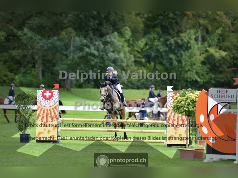 Junge Reiterin sucht Sportpartner 