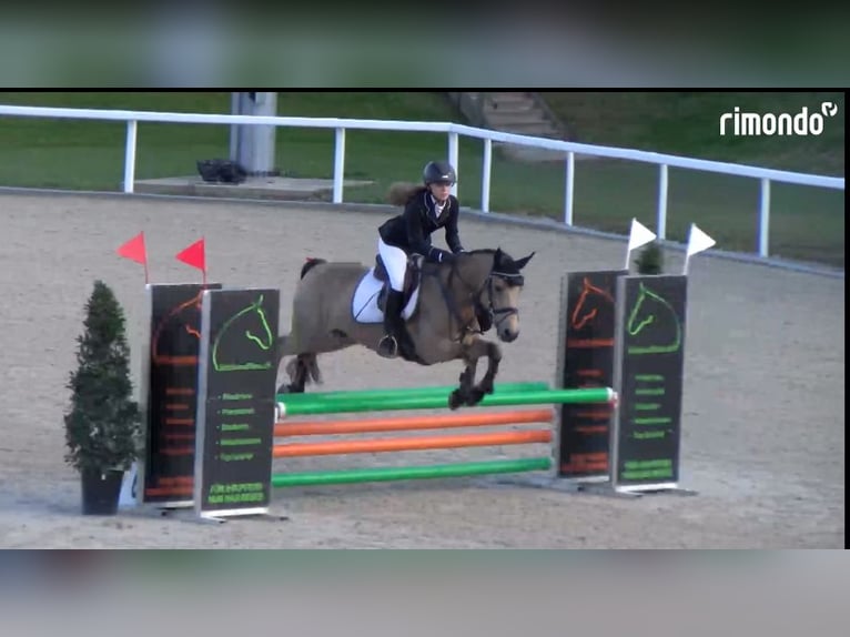 Junge Reiterin sucht Sportpartner 