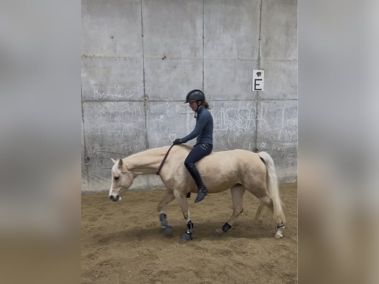 Junge Reiterin sucht Sportpartner 