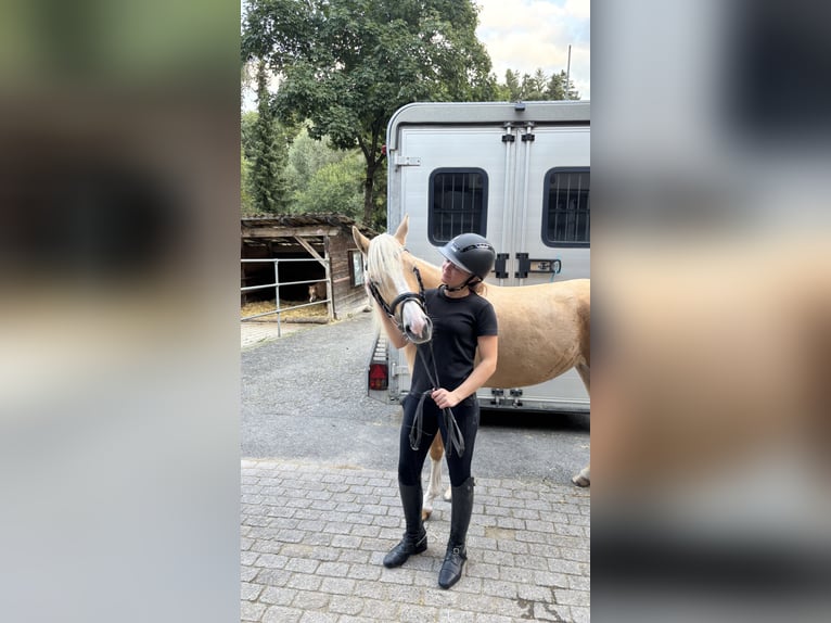 Junge Reiterin sucht Sportpartner 