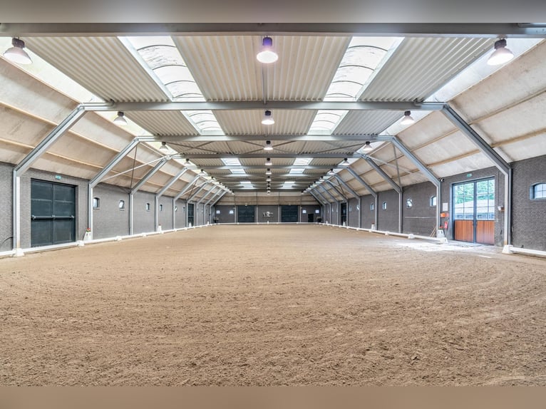 A beautiful, fully equipped equestrian facility located in a fantastic location