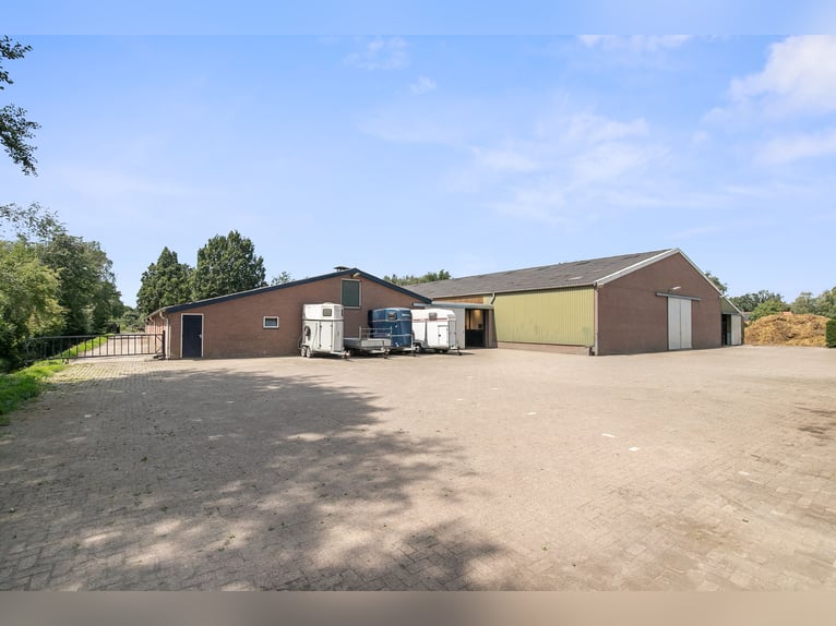 Detached house with riding hall behind, a half-hour drive from Equestrian Centre de Peelbergen!