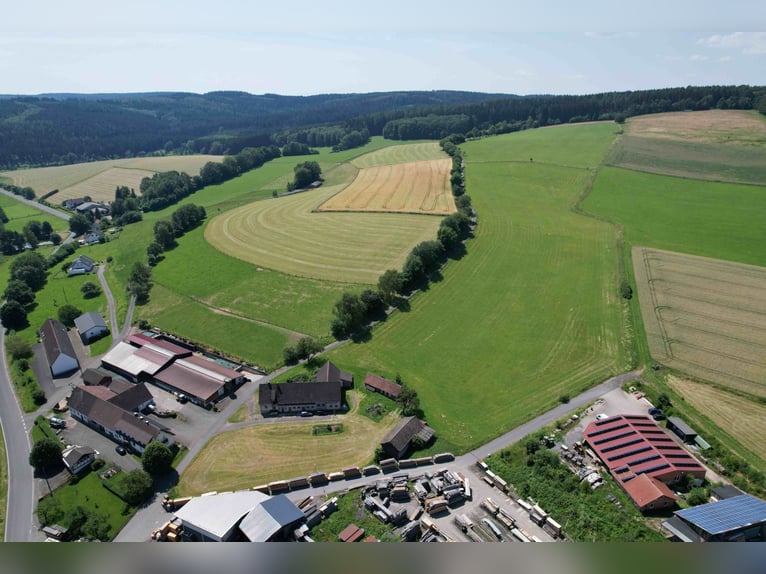 Einzigartiges Grundstück zur Errichtung einer neuen Reitanlage oder für andere Zwecke in bester Lage