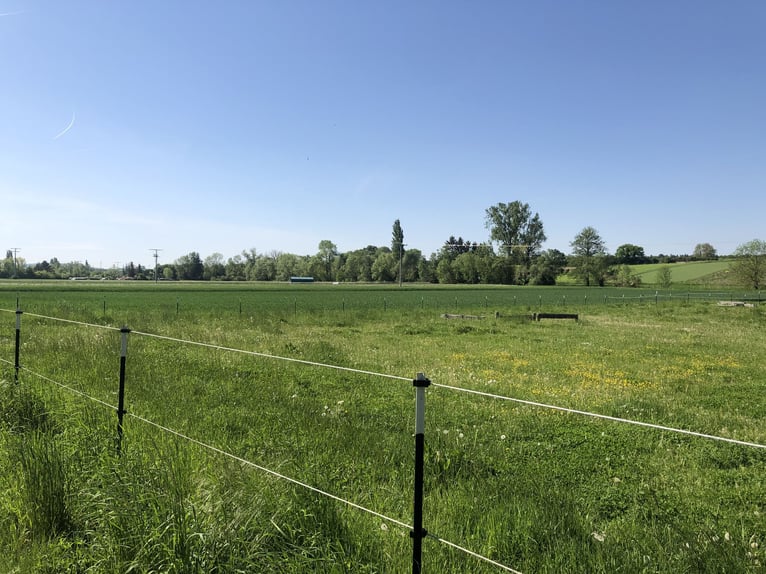 kleine Reitanlage in der Fränkischen Toskana