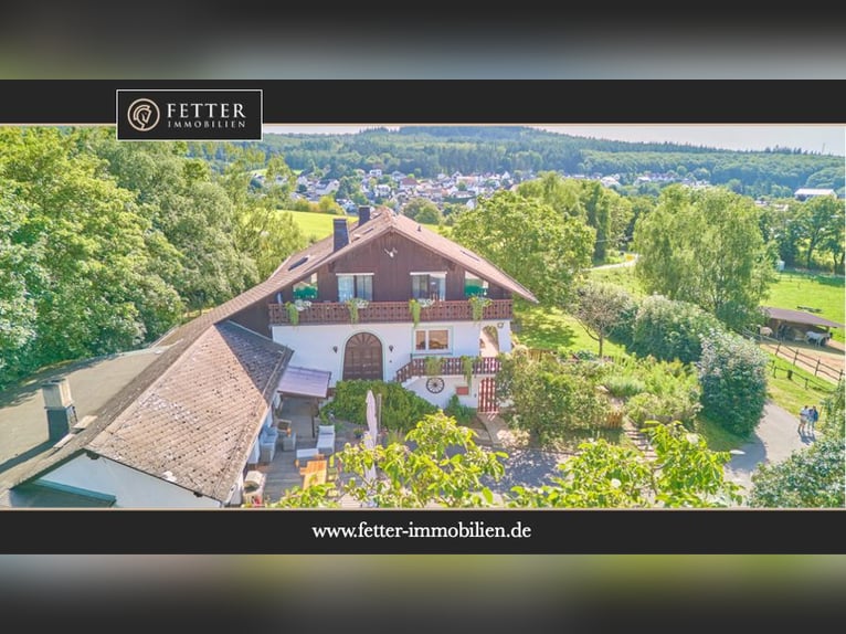 Leben in einer Symbiose mit den Pferden – gepflegte Reitanlage in Geisenheim im beliebten Rheingau!