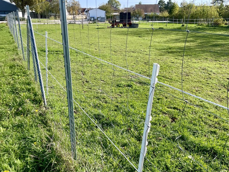 Nachfolgepächter für großes  Pferdegelände in 7064 Oslip gesucht! Günstige Pacht!