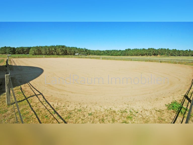 Pferdehof - Reitanlage, 4 FeWo, ca. 15 ha Land, Stallungen für 20+ Pferde, Eigentümerwohnung + 2 FW