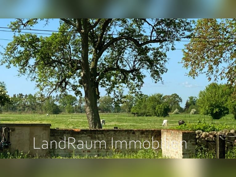 Pferdehof - Reitanlage, 4 FeWo, ca. 15 ha Land, Stallungen für 20+ Pferde, Eigentümerwohnung + 2 FW