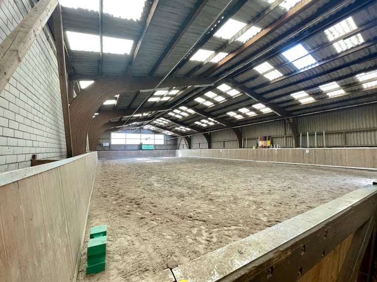 Reiterhof / Reitanlage mit 38 Boxen und idealen Trainingsbedingungen in Hessen!