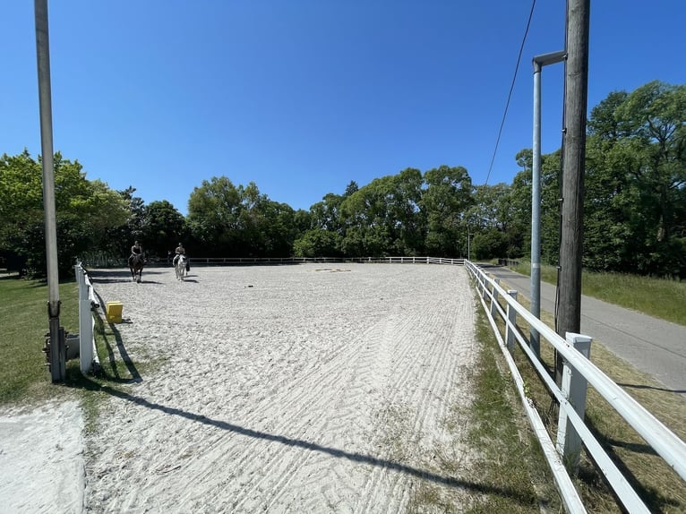 Reiterhof / Reitanlage mit 38 Boxen und idealen Trainingsbedingungen in Hessen!