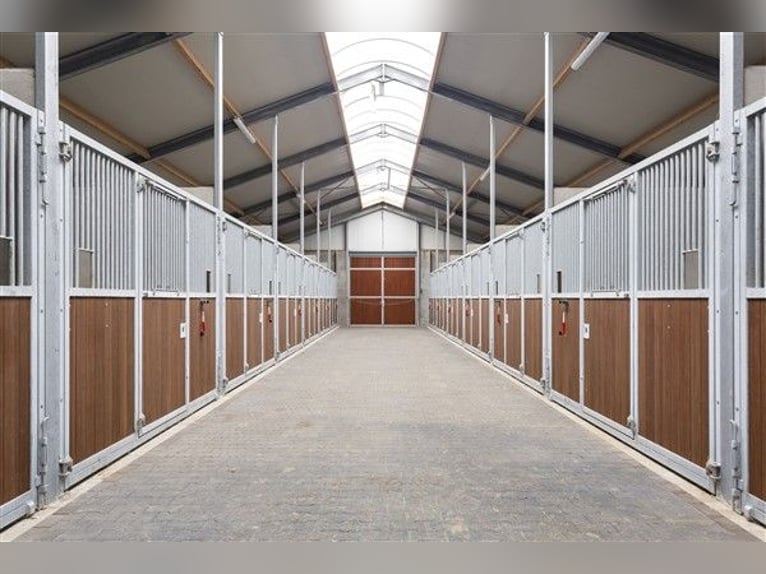 Renovated equestrian facility for sale! 