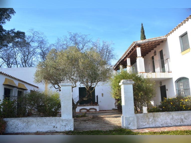 Ruhe pur - Finca in Vejer