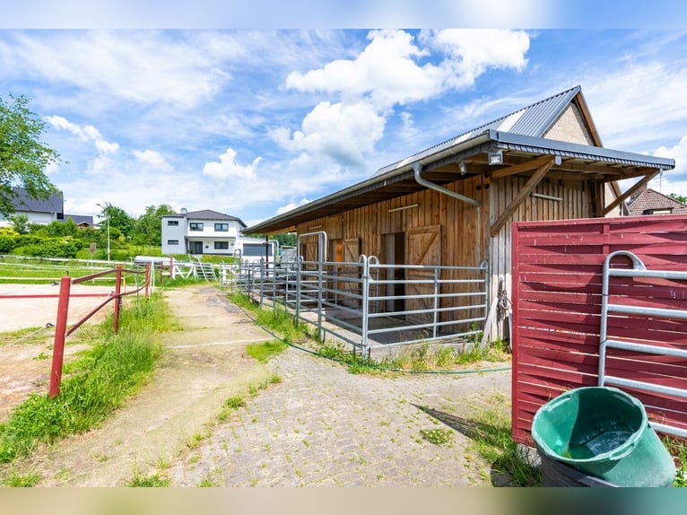 *Seltene Gelegenheit* Modernisiertes Einfamilienhaus mit Nebengebäude, Scheune und Pferdehaltung!