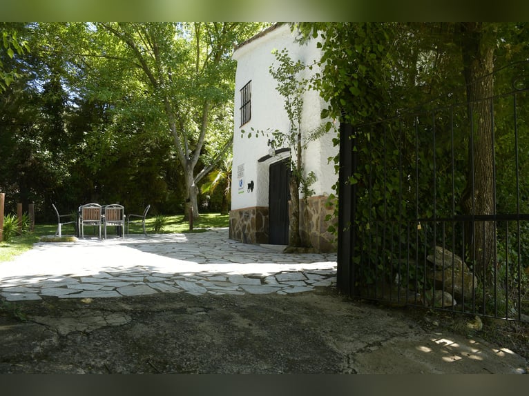 SOUTH OF SPAIN. HORSEFARM AND RURAL HOUSE 