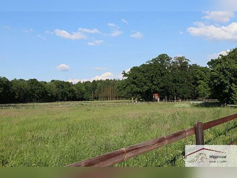 VERKAUFT-Multifunktionale  Reitanlage  ab ca. 7 ha. in idyllischer Grünlage Zw. Hamburg & Bremen 