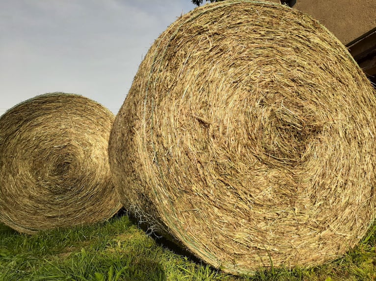 Pferdeheu Rundballen Bergwiesenheu JKK-frei 