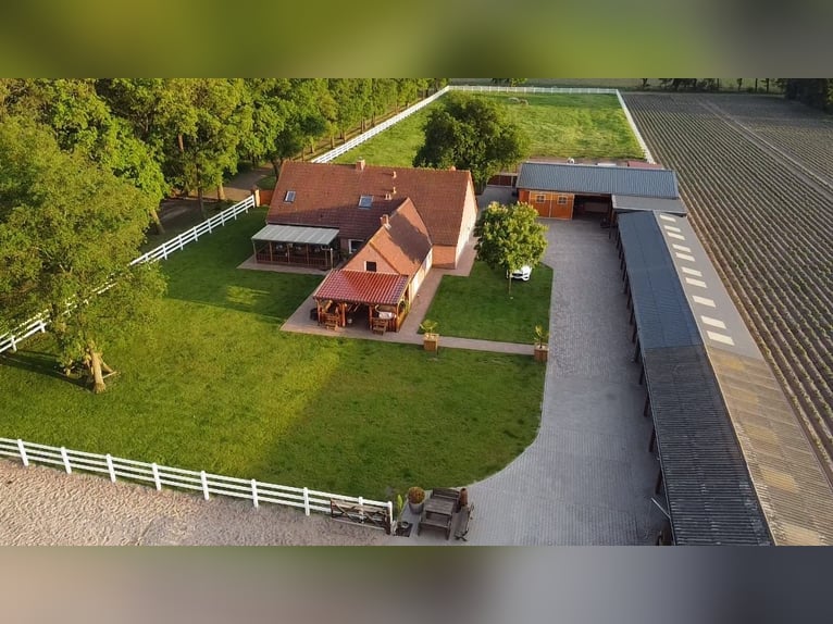 Pferdehof zu verkaufen im Emsland – Schicke Ranch mit gehobenem Wohnkomfort!