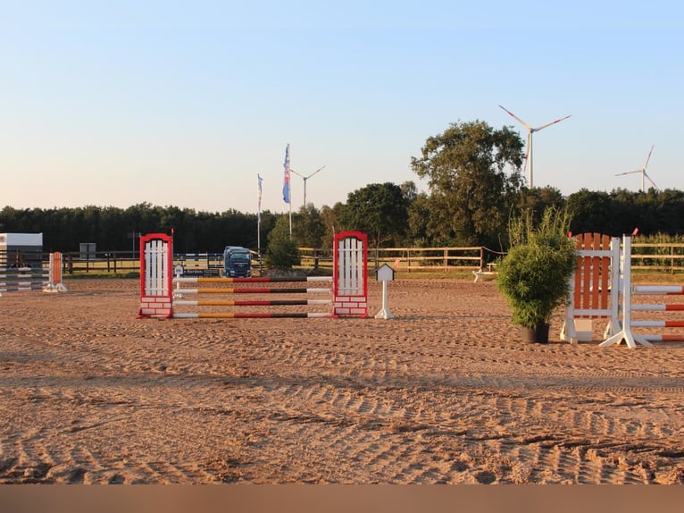 Boxen (-trakt) auf Top Sportanlage zu vermieten