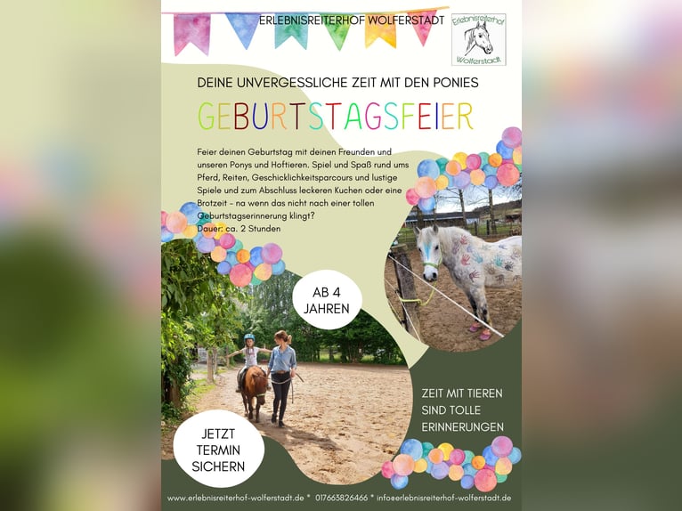 Kindergeburtstag auf dem Erlebnisreiterhof 