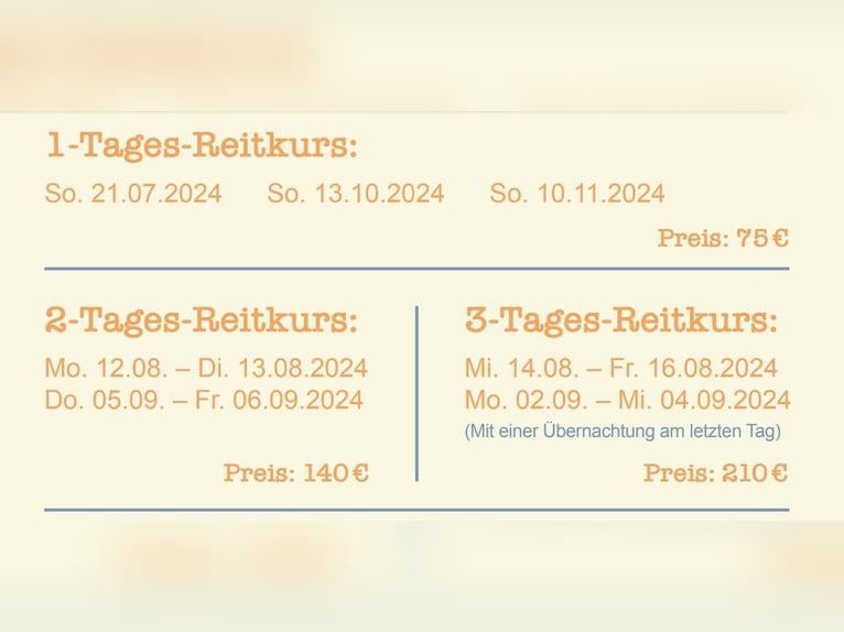 Kinderreiterferien am RFV Grosselfingen 2-6.9.2024