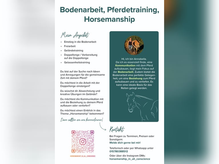 Unterricht in Bodenarbeit / Freiarbeit / Doppellonge / Horsemanship / Geländetraining / Gelassenheit