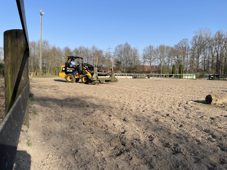 Hoflader / Radlader | JCB 403 Agri | Gebraucht