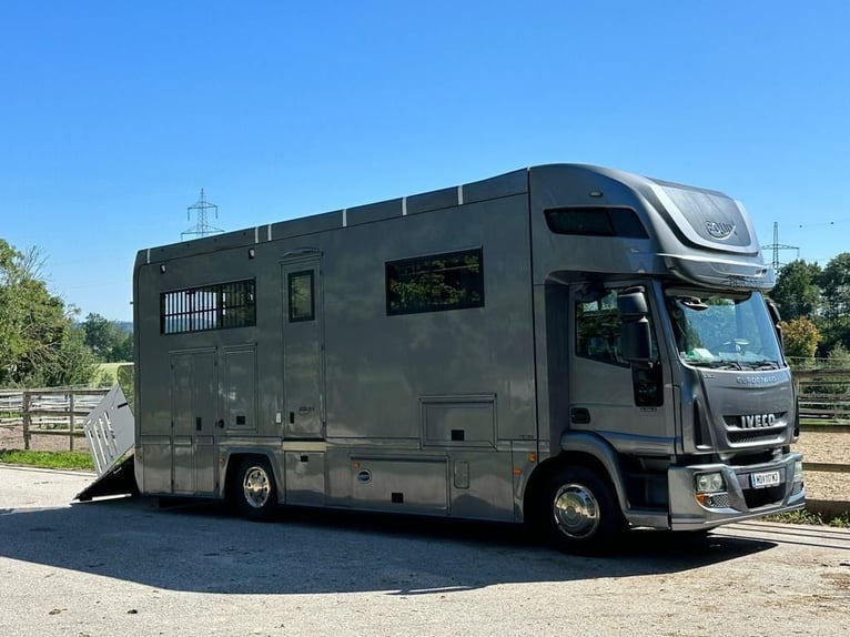 IVECO Equix 4 Pferdetransporter