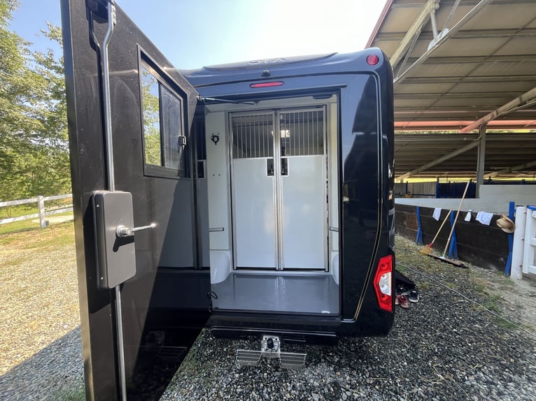 VAN CAVALLI STX 7NRVA MASTER HORSEBOX (usato pochissimo!!!)