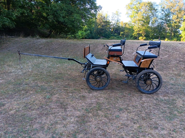 Jagdwagen Kutsche mit Geschirr 