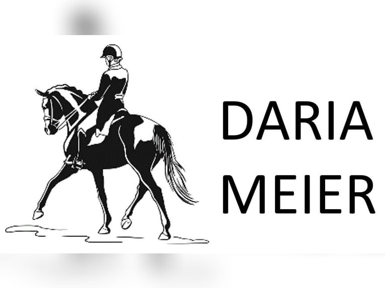 Ausbildung / Beritt von Ihrem Dressurpferd / Turniervorstellung