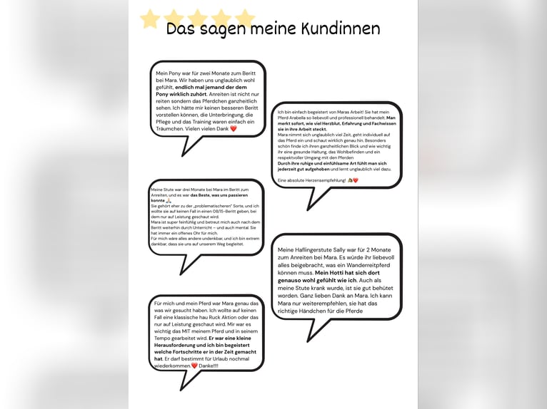 Beritt - Anreiten & Korrekturpferde