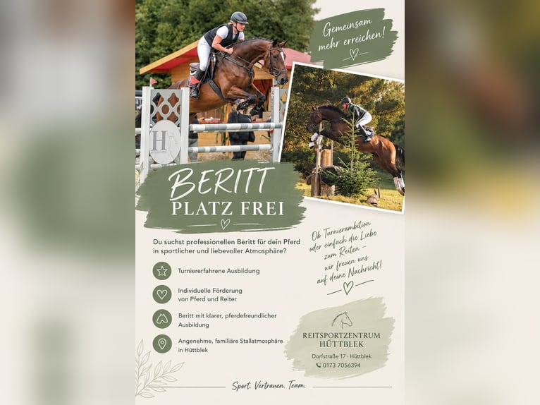 Beritt Dressur,Springen,Vielseitigkeit