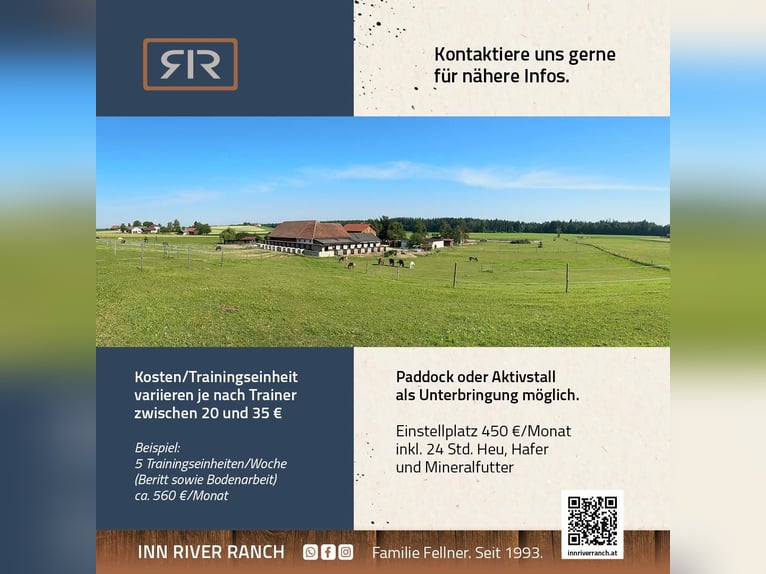 Berittplätze, Unterricht, Kurse