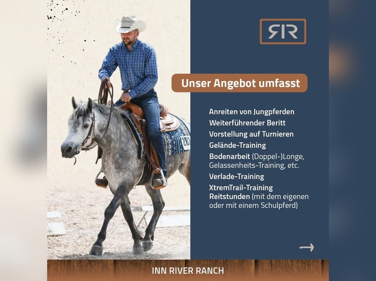 Berittplätze, Unterricht, Kurse