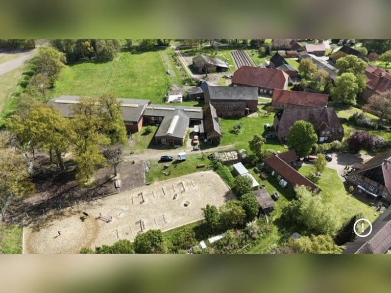 Berittplatz o. Rehaplatz frei (ab Sept) mit besten Haltungsbedingungen - individuell und pro Pferd