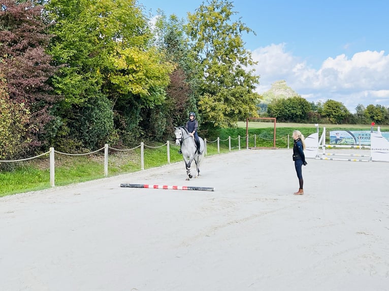 Reitunterricht & Beritt