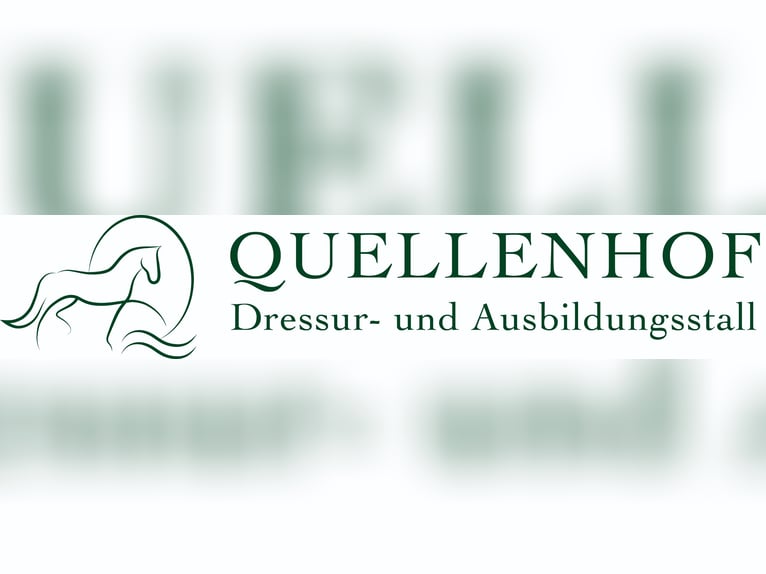 Vollberitt Dressur/  Anreiten - S***