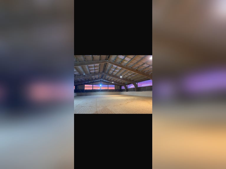 Wir haben einen freien Berittplatz!