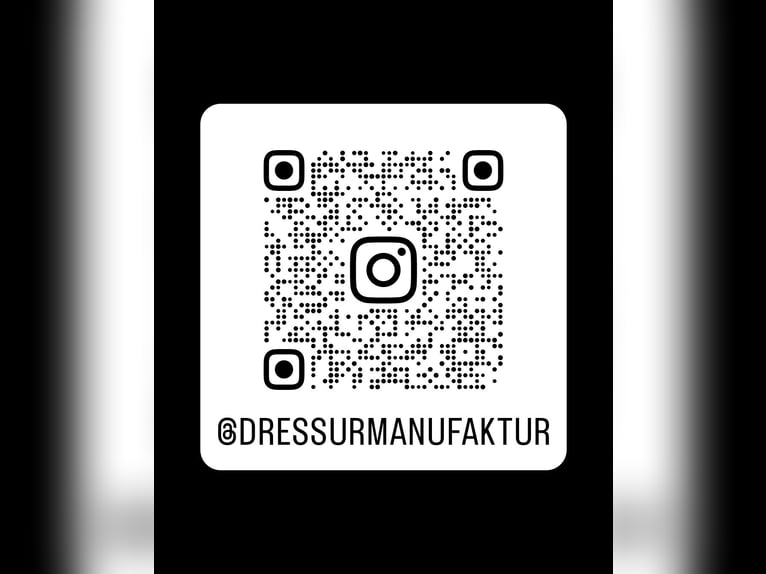 Zusätzlicher Berittplatz ab Mai 2026 verfügbar