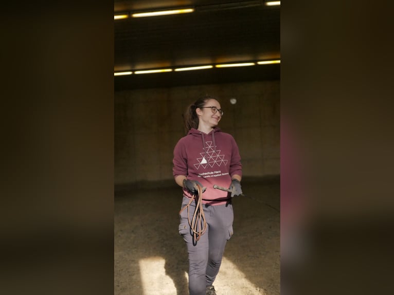 8-Wochen-Powerkurs "Mental stark reiten"