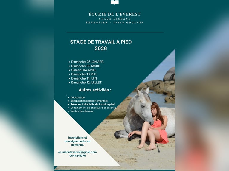 Éducation et rééducation comportementale 