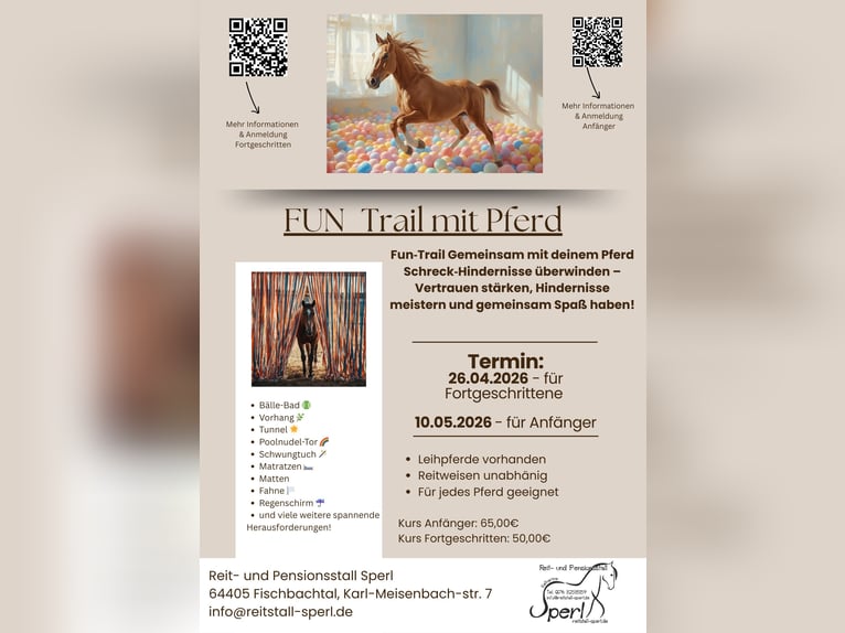 Fun Trail/Gelassenheitstraining