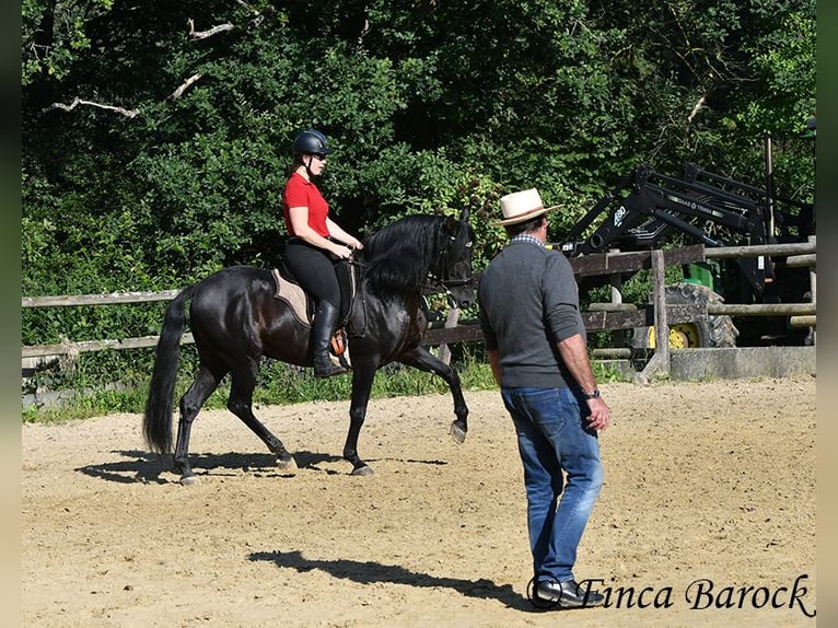 Lehrgang mit Desmond o Brien 10-11.02.2026