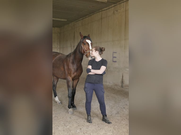 Mein Kopf, mein Pferd, mein Erfolg - Mentaltraining für Reiter