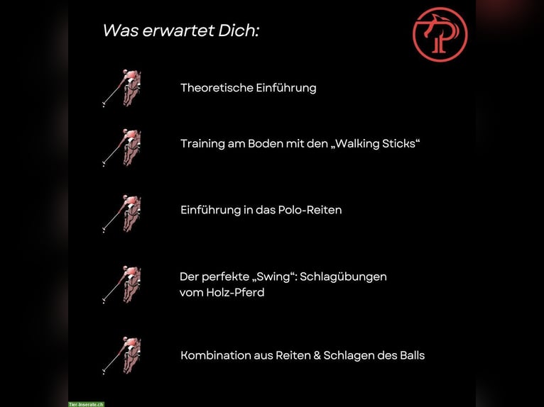 Polo Schnupperkurs auf dem Ettikoner Hof