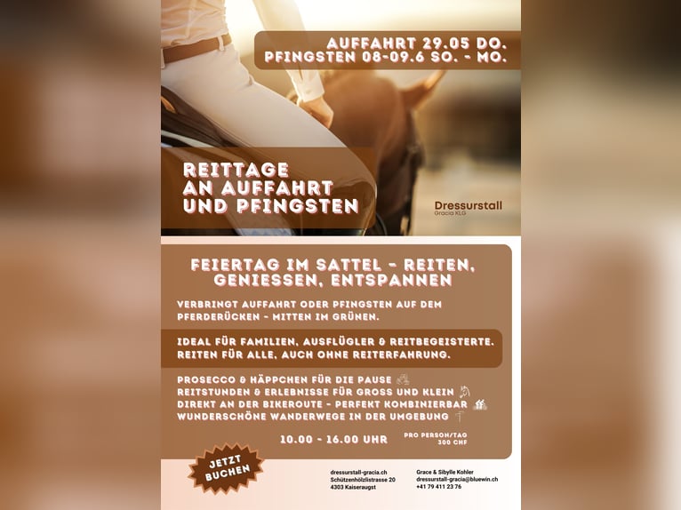 Reittage an Auffahrt und Pfingsten Reittage an Auffahrt und Pfingsten