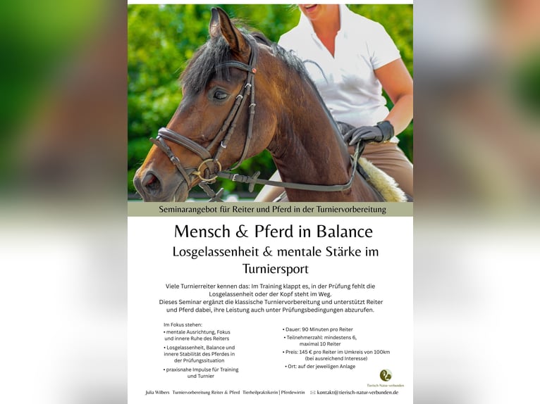 Seminar für Reiter und Pferd in der Turniervorbereitung