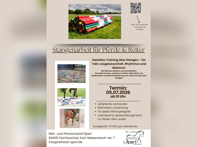 Stangenarbeit für Pferde & Reiter